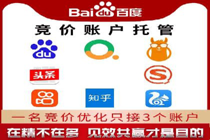 某电商平台的SEM推广策略分析